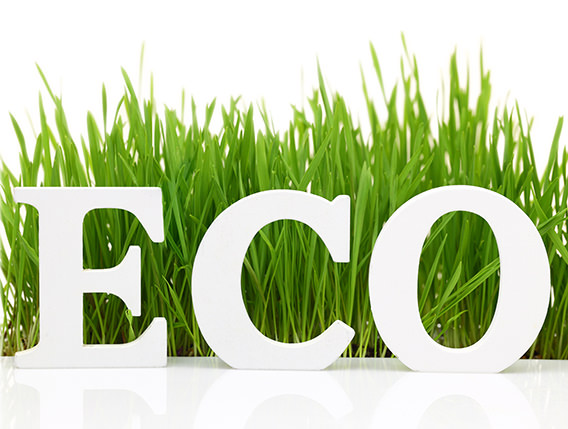 Lee más sobre el artículo Producto ecologico, bio/biológico y organico.