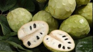 Lee más sobre el artículo Frutas antioxidantes tropicales: la chirimoya