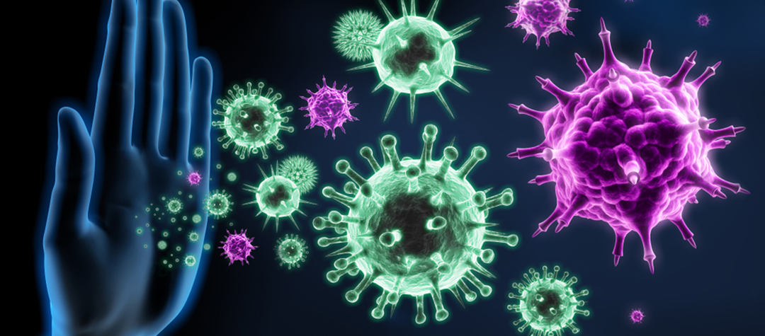 Lee más sobre el artículo Sistema Inmunologico: nuestra defensa contra los virus.